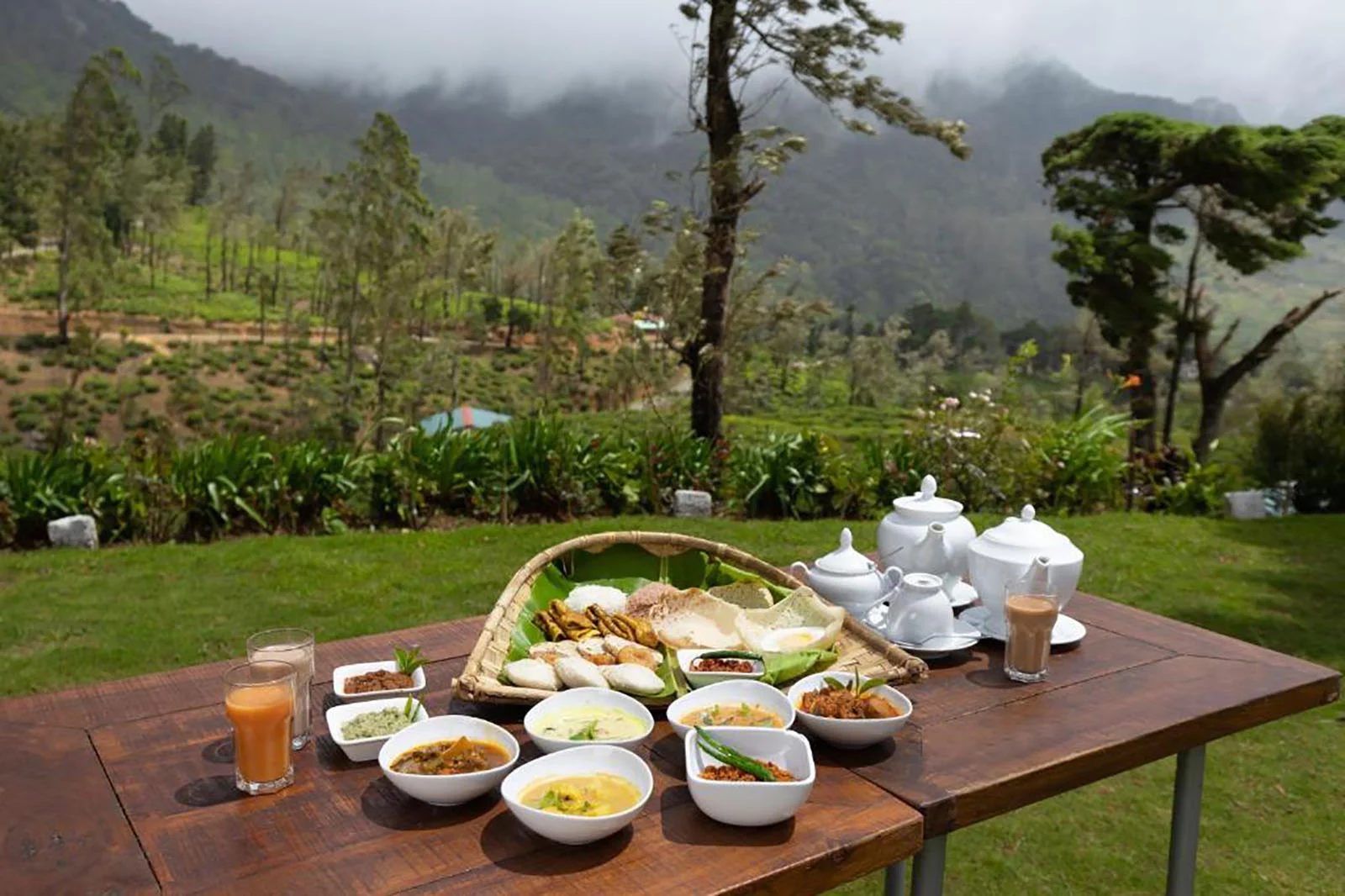 Tea & Experience Factory