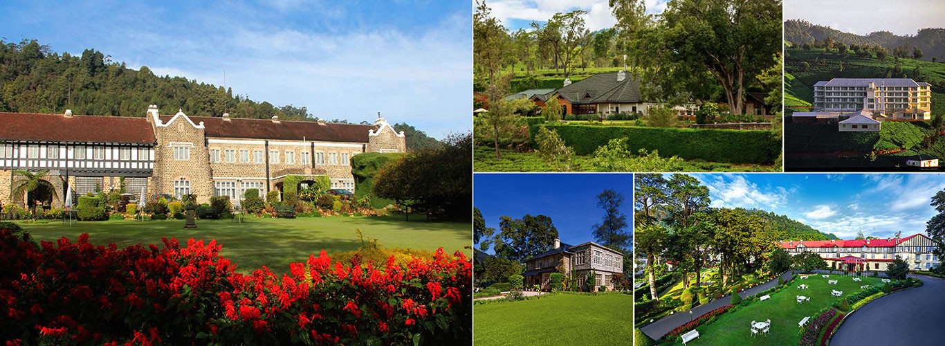 Nuwara Eliya tea country on the 11 day Sri Lanka Discovery tour