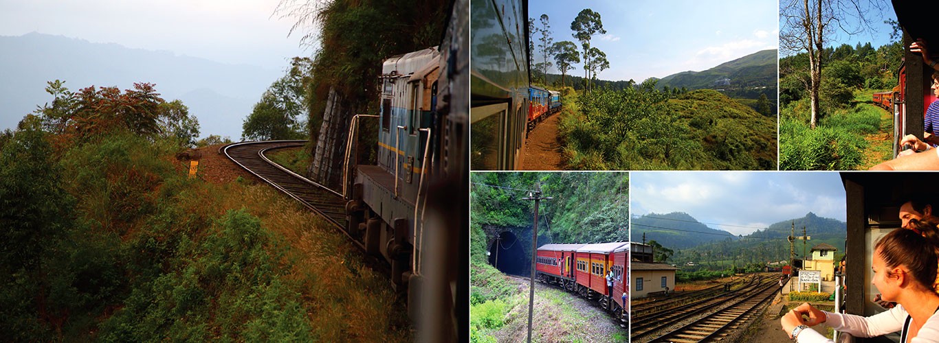 Scenic train journey to Ella on the 13 day wildlife tour