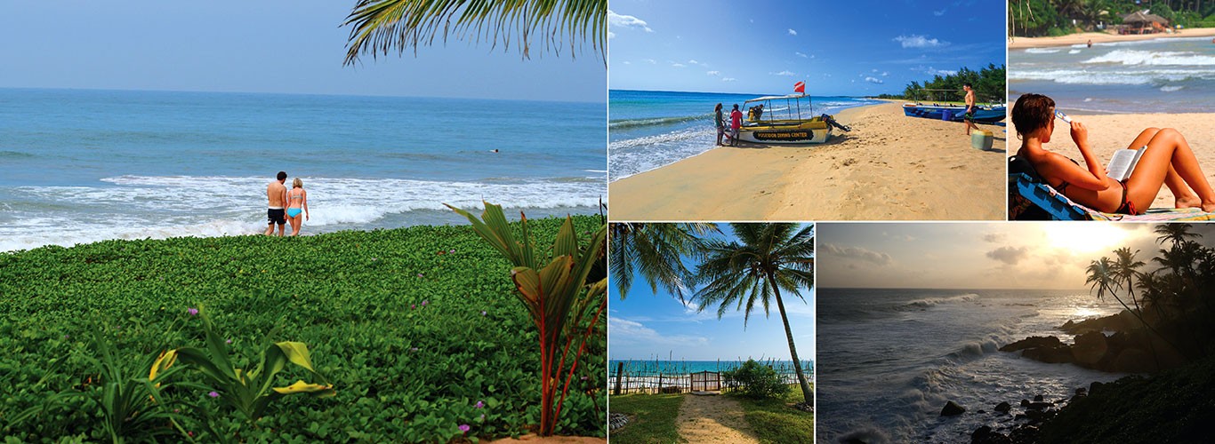 Mirissa beach after travelling from Yala