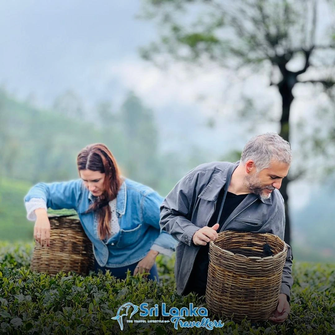 Indian travellers in a Sri Lanka tea plantation